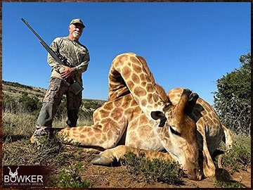 Trophy Hunting South Africa 11 giraffe africa 1