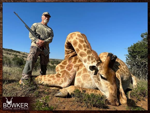 Giraffe Hunting - All You Need to Know About Hunting Giraffe 4 Giraffe hunt with Nick Bowker