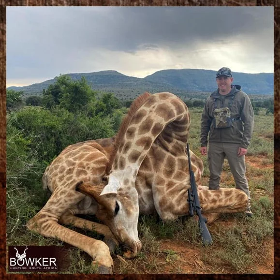 First-Time African Hunter - Plan Your Hunting Trip 8 Giraffe hunted safari style on a first time african hunting trip.