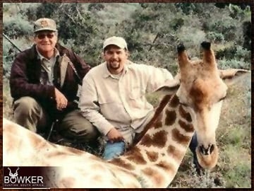 Giraffe Hunting - All You Need to Know About Hunting Giraffe 12 Hunting Giraffe trophy with Nick Bowker.