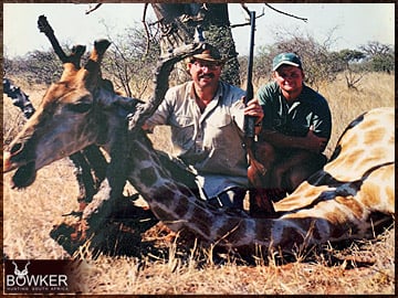 Giraffe Hunting - All You Need to Know About Hunting Giraffe 11 Giraffe trophy hunted in South Africa with Nick Bowker.