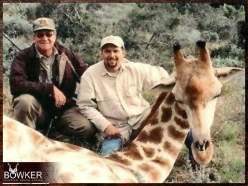 Trophy Hunting South Africa 10 Giraffe trophy hunting in South Africa.