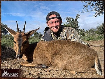 Trophy Hunting South Africa 172 Grey duiker harvested in 2023.