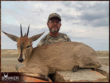 Trophy Hunting South Africa 171 Grey Duiker rifle hunted in Africa.