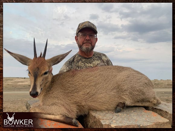 Common Duiker African hunting trip.