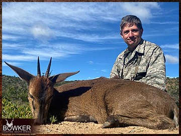 Free Range Hunting and Fair Chase Hunts in South Africa 24 Grey duiker African safari hunting