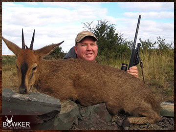Trophy Hunting South Africa 166 Grey duiker African safari hunting