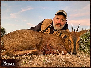 Trophy Hunting South Africa 163 Grey duiker African safari hunting