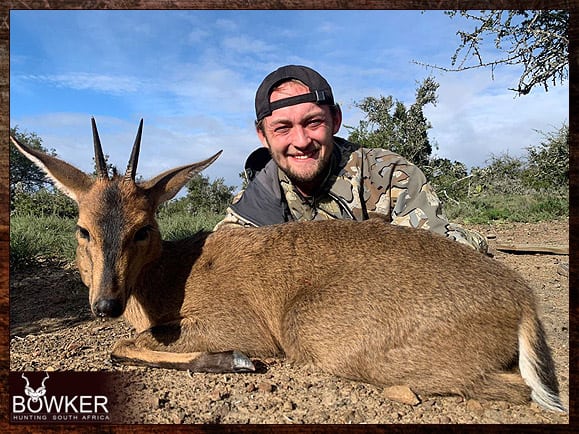 Common Grey Duiker Hunting - Expert Tips for Duiker Hunts 8 Grey duiker harvested in 2023.