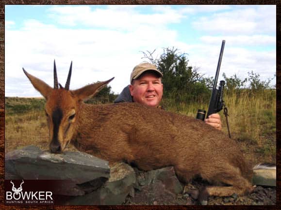 Duiker hunting with Nick Bowker Grey Duiker or common Duiker trophy