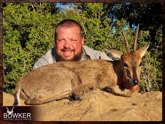 Grey Duiker hunting - trophy shot in South Africa. Duiker can be added on very cheaply to any of our South African Hunting Safari Packages. Grey duiker hunting in South Africa