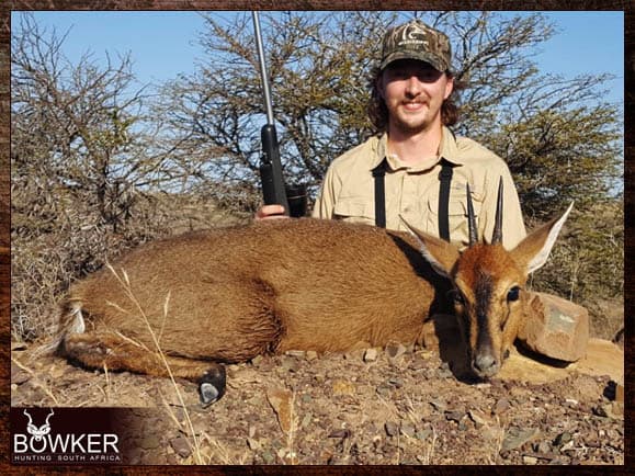Duiker hunting with Nick Bowker Duiker hunting