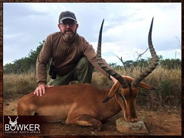 Impala trophy in a client 7 animal 8-day African trophy hunt. Impala trophy in a client 7 animal 8-day African trophy hunt.