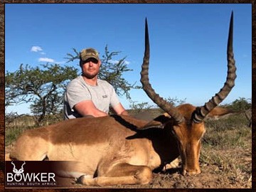 Impala trophy in a client 7 animal 8-day trophy hunt. Impala trophy in a client 7 animal 8-day trophy hunt.