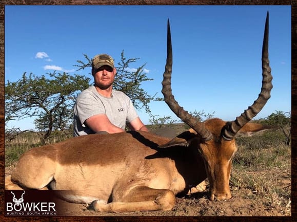 Impala Hunting - All You Need to Know About Impala Hunts 10 Impala hunt in South Africa
