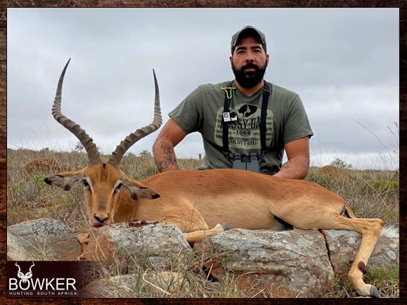 Impala hunting in South Africa