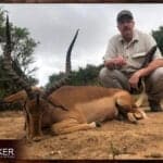 Impala Hunting - All You Need to Know About Impala Hunts 24 Impala hunting safari style in South Africa with Nick Bowker Hunting.
