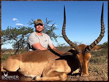 Trophy Hunting South Africa 107 Impala hunted safari style.