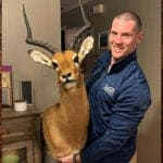 Impala Hunting - All You Need to Know About Impala Hunts 29 Impala shoulder mount delivered to a client in the United States.