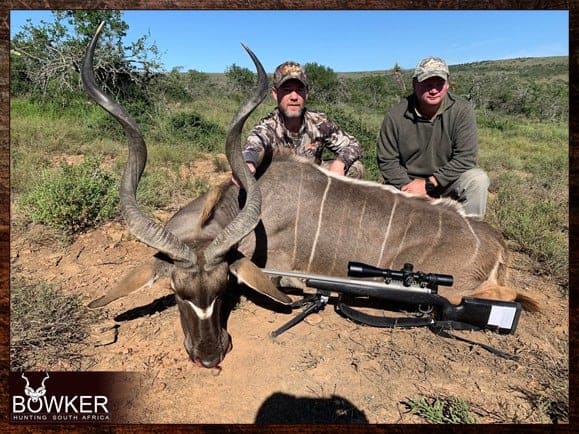 Mastering Kudu Hunting: The Ultimate Guide to Hunting Kudu 9 Kudu trophy. The Eastern Cape Kudu has smaller horns than, the Greater Kudu.
