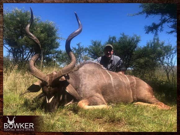 Mastering Kudu Hunting: The Ultimate Guide to Hunting Kudu 14 Kudu hunting safari style in Africa with Nick Bowker
