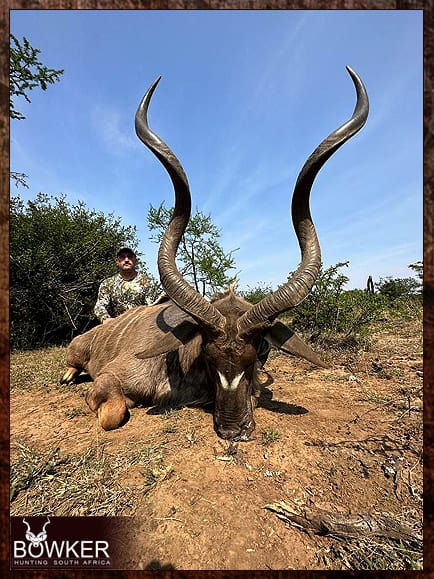 Free Range Hunting and Fair Chase Hunts in South Africa 6 Wilderness kudu hunting