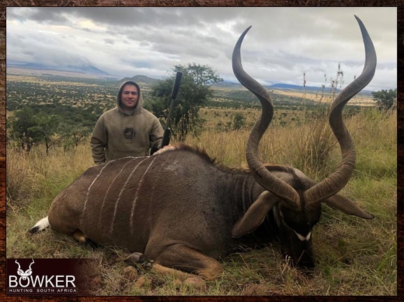 The Eastern Cape Kudu is considered a subspecies of the Greater Kudu. Kudu hunting safari style with Nick Bowker in Africa.