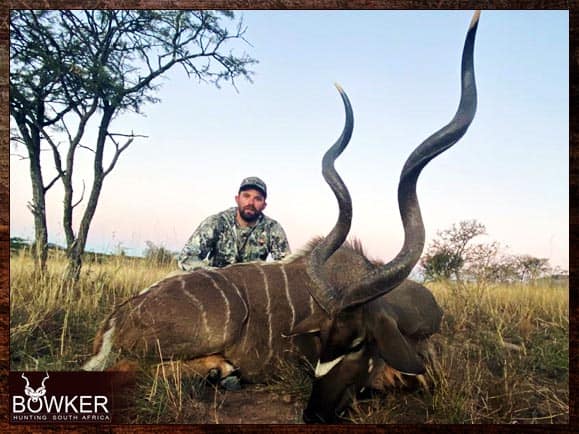 Mastering Kudu Hunting: The Ultimate Guide to Hunting Kudu 7 Kudu hunting in South Africa