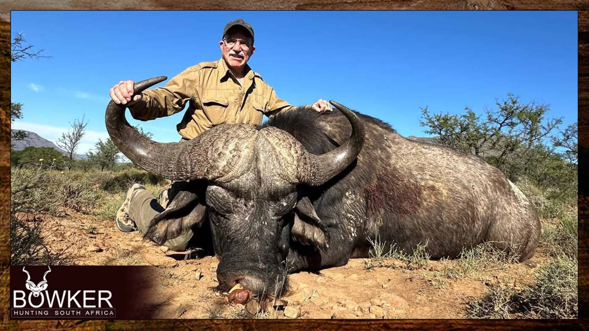 Cape Buffalo Hunting Packages and Prices - Hunt Cape Buffalo 2 Large Cape Buffalo