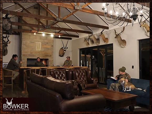 Best Dog Breeds for African Hunting - Your Plains Game Hunt Companion 15 Beagle in the bar area in our lodge.