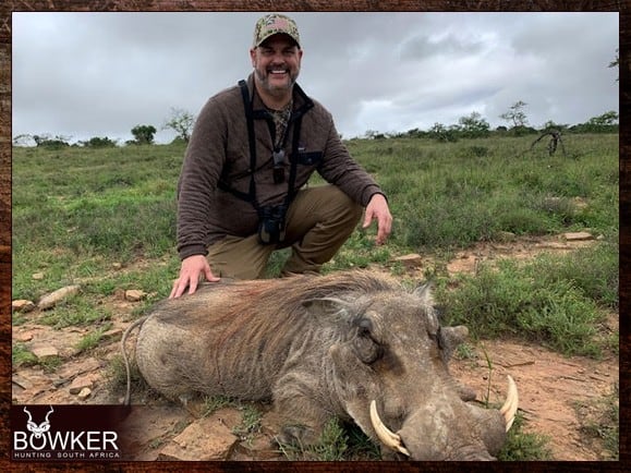 Low-Fenced African Hunting 4 Warthog Hunting