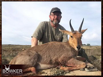 Mountain Reedbuck trophy in a client 7 animal 8-day African trophy hunt. Mountain Reedbuck trophy in a client 7 animal 8-day African trophy hunt.
