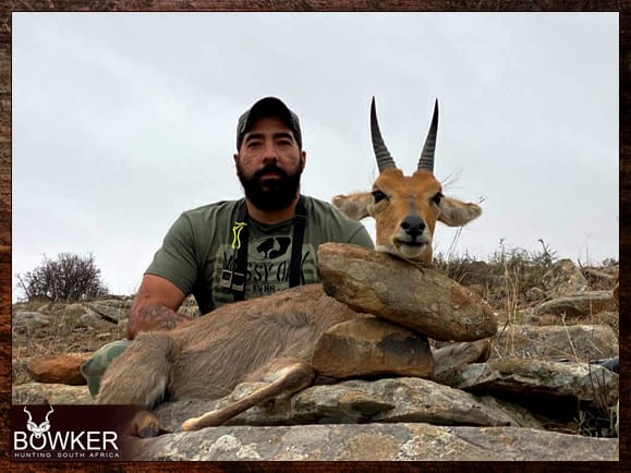 Mountain Reedbuck Hunting - About Reedbuck Hunts 17 Mountain Reedbuck trophy hunting
