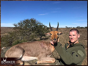 Trophy Hunting South Africa 59 Mountain reedbuck hunting in Africa.