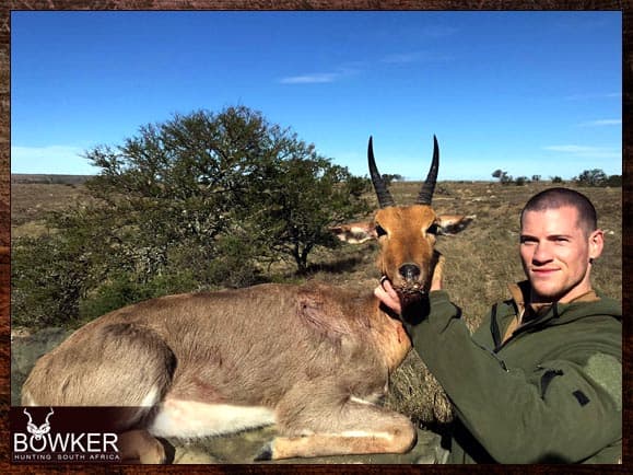 Mountain Reedbuck Hunting - About Reedbuck Hunts 5 Mountain Reedbuck hunting in South Africa