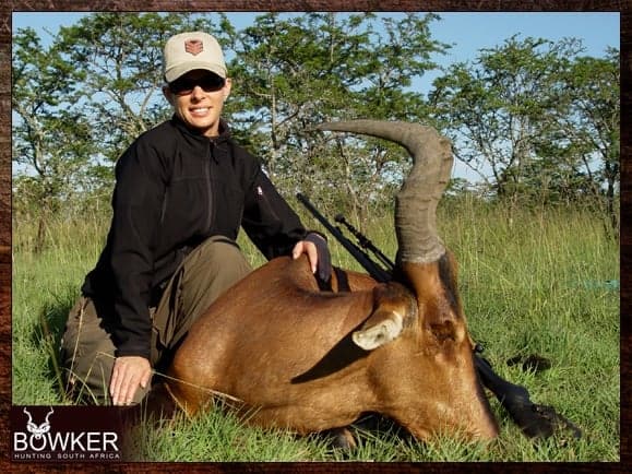 Hunt in South Africa - A Guide to South African Hunting Safaris 30 Red Hartebeest hunting in the North West province.