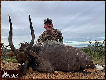 Trophy Hunting South Africa 70 Nyala harvested in 2023.