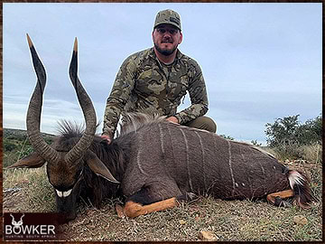 Trophy Hunting South Africa 72 Nyala rifle hunted in Africa.
