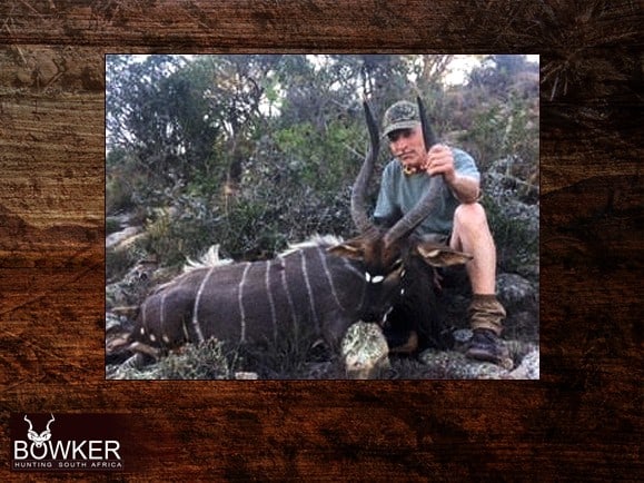 My African Hunt 6 Nyala trophy hunted with Nick Bowker Hunting