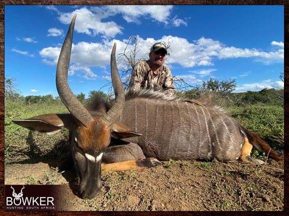 Nyala Hunting - All You Need to know about Nyala Hunts 23 Nyala african hunting with Nick Bowker.