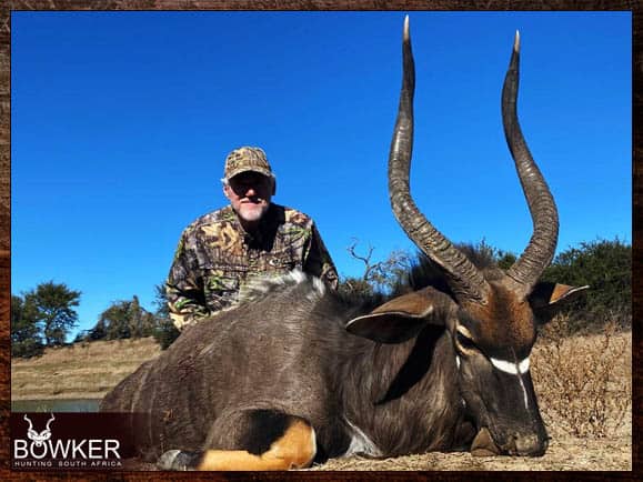 African hunting safari for Nyala