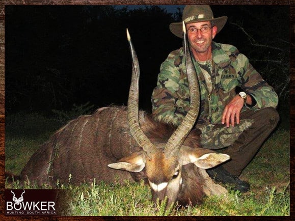 Nyala Hunting - All You Need to know about Nyala Hunts 4 Nyala hunting in South Africa