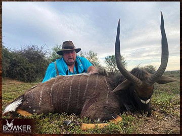Trophy Hunting South Africa 56 Nyala hunted safari style.