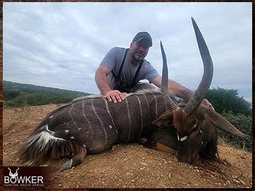 Trophy Hunting South Africa 61 Nyala hunted Safari style.