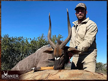 Trophy Hunting South Africa 45 Nyala hunted safari style.