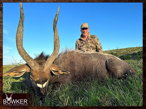 Nyala Hunting - All You Need to know about Nyala Hunts 19 Nyala hunted in 2023.