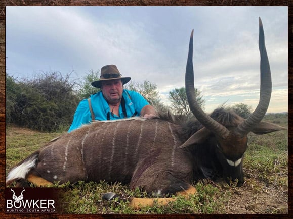 Nyala Hunting - All You Need to know about Nyala Hunts 22 Trophy taken in South Africa