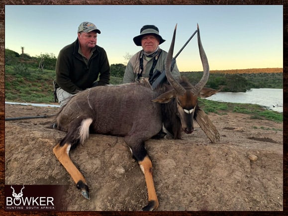 African Hunting Trip 6 Nyala trophy taken on our South African hunting trip