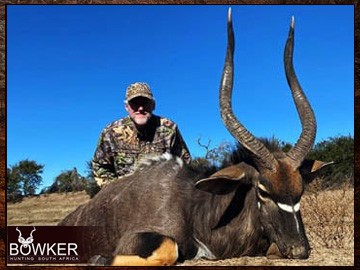 Cape Buffalo Hunting Packages and Prices - Hunt Cape Buffalo 13 Nyala trophy taken with Nick Bowker in South Africa.