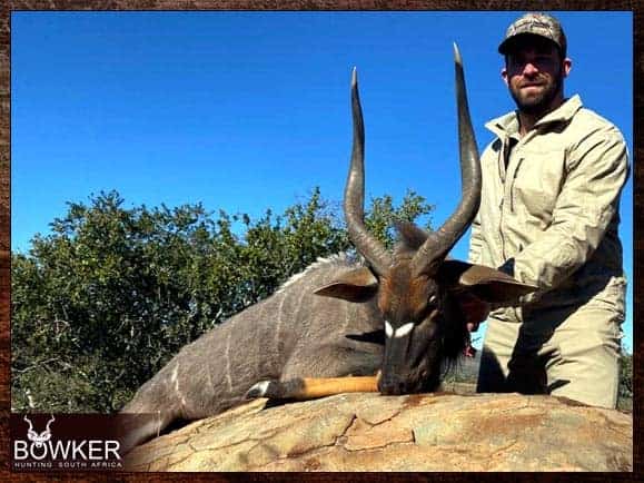 First-Time African Hunter - Plan Your Hunting Trip 5 Nyala trophy taken on a first time african hunt.